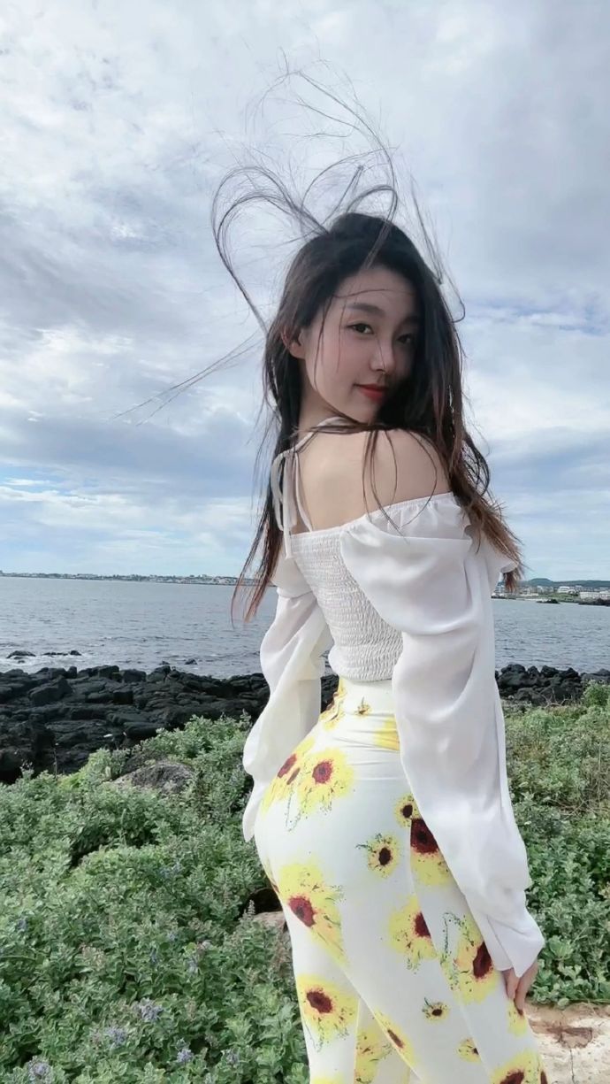 走向共和 封面